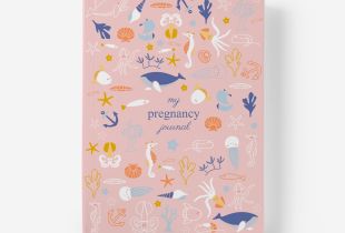 Álbum Tiny Reef Tales intro